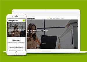 企业合作商务展示HTML网页模板下载 - 淘金派资源网