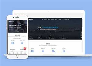 互联网信息化服务网站前端模板下载 - 淘金派资源网