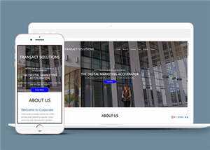 项目产品解决方案HTML网页模板下载 - 淘金派资源网