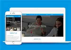 专业咨询服务展示HTML网页模板下载 - 淘金派资源网