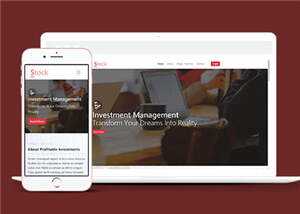 股票金融分析团队HTML网页模板下载 - 淘金派资源网