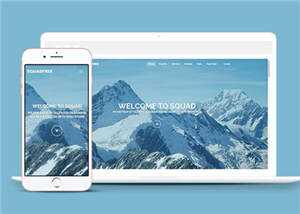 营销企业团队响应式网页模板 - 淘金派资源网