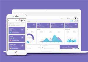 手机app运营数据统计后台模板下载 - 淘金派资源网