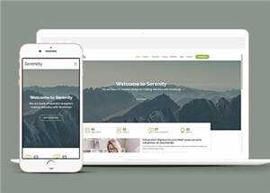 简约业务服务动态响应式网页模板 - 淘金派资源网