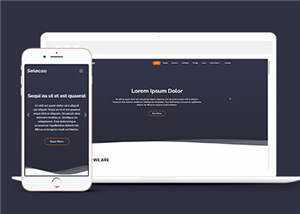 简约业务团队动态响应式网页模板 - 淘金派资源网