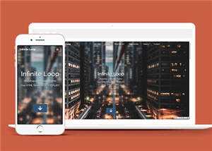 业务团队案例展示网页模板下载 - 淘金派资源网