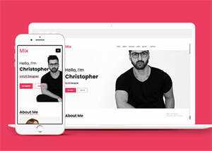 简洁设计团队介绍网站模板下载 - 淘金派资源网