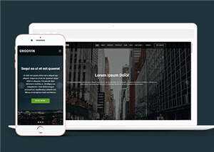 创意咨询代理公司响应式网页模板 - 淘金派资源网