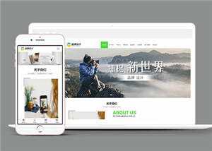 响应式品牌广告设计公司网站前端模板 - 淘金派资源网