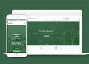绿色现代创意服务响应式网页模板 - 淘金派资源网