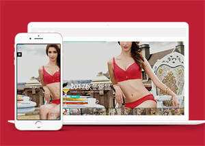 宽屏内衣服饰服装类网站前端模板 - 淘金派资源网