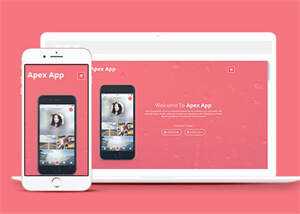 App开发制作公司网站模板下载 - 淘金派资源网