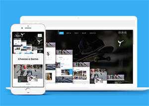 大气简约轮滑培训公司网站模板 - 淘金派资源网