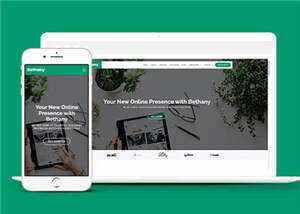 创意投资项目代理响应式网页模板下载 - 淘金派资源网