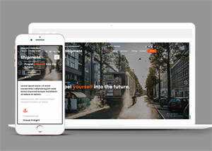 淘宝海外集运公司网站模板下载 - 淘金派资源网