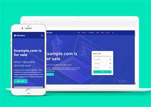 宽屏域名服务代理商HTML5模板下载 - 淘金派资源网