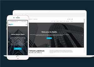 商务代理项目服务响应式网页模板 - 淘金派资源网