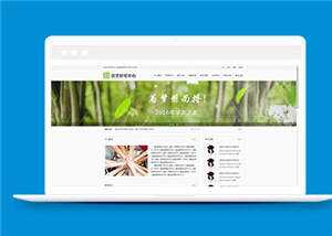 简约基础教育研究中心源码模板下载 - 淘金派资源网