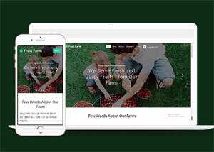 新鲜农产品类公司网站模板下载 - 淘金派资源网