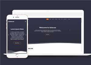 简约业务团队动态响应式网页模板下载 - 淘金派资源网