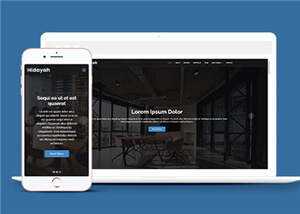 商业团队项目展示响应式网页模板 - 淘金派资源网