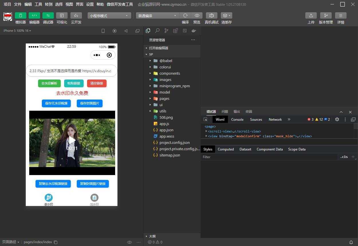 短视频去水印和图片加水印生成微信小程序源码 - 淘金派资源网