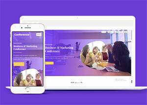 紫色精品商业合作网站模板源码 - 淘金派资源网