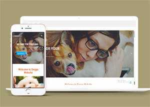 宠物美容服务公司网站模板源码 - 淘金派资源网