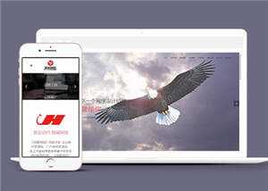 网络公司品牌推广公司网站前端模板下载 - 淘金派资源网