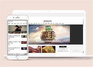 新闻资讯时尚杂志类网站模板源码 - 淘金派资源网