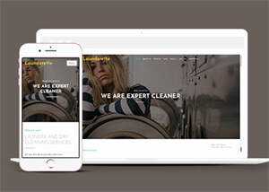 简洁服装洗涤清洗公司网站模板 - 淘金派资源网