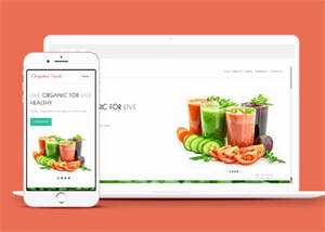 宽屏鲜榨果汁加盟店网站模板下载 - 淘金派资源网