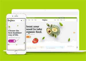 蔬菜水果商店网站响应式模板下载 - 淘金派资源网