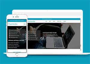 淘宝详情页制作响应式网站模板 - 淘金派资源网