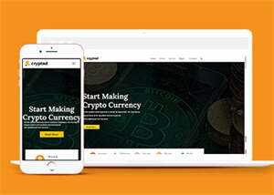 比特币加密货币类网站模板下载 - 淘金派资源网