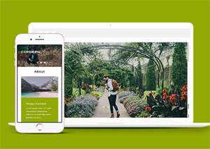 宽屏风景图片拍摄网站模板下载 - 淘金派资源网