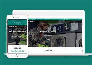响应式滚筒洗衣机企业网站模板 - 淘金派资源网