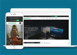 响应式财务管理公司网站模板 - 淘金派资源网