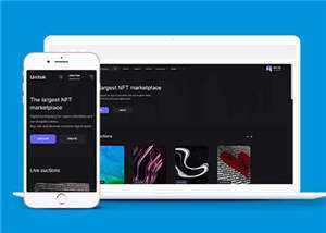 宽屏数字市场交易平台网站模板下载 - 淘金派资源网