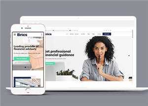 公司财务咨询网站模板下载 - 淘金派资源网