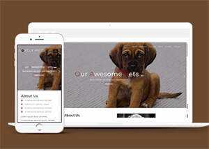 简洁宠物饲养单页HTML模板下载 - 淘金派资源网