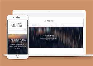 简约专业服务信息在线企业网页模板下载 - 淘金派资源网
