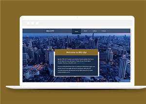 都市切换介绍企业网页源码模板 - 淘金派资源网