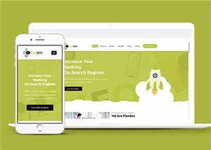 绿色排名优化公司源码模板下载 - 淘金派资源网