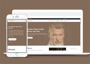 明星御用发型师网站模板下载 - 淘金派资源网