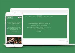 响应式多肉植物种植网站模板下载 - 淘金派资源网