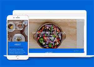 大气美食制作类网站模板下载 - 淘金派资源网