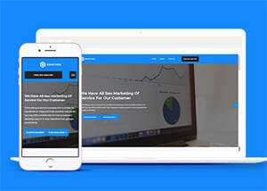 SEO优化团队类网站模板下载 - 淘金派资源网