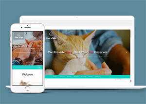 流浪动物领养中心网站模板 - 淘金派资源网