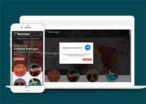 响应式鸡尾酒公司网站模板 - 淘金派资源网